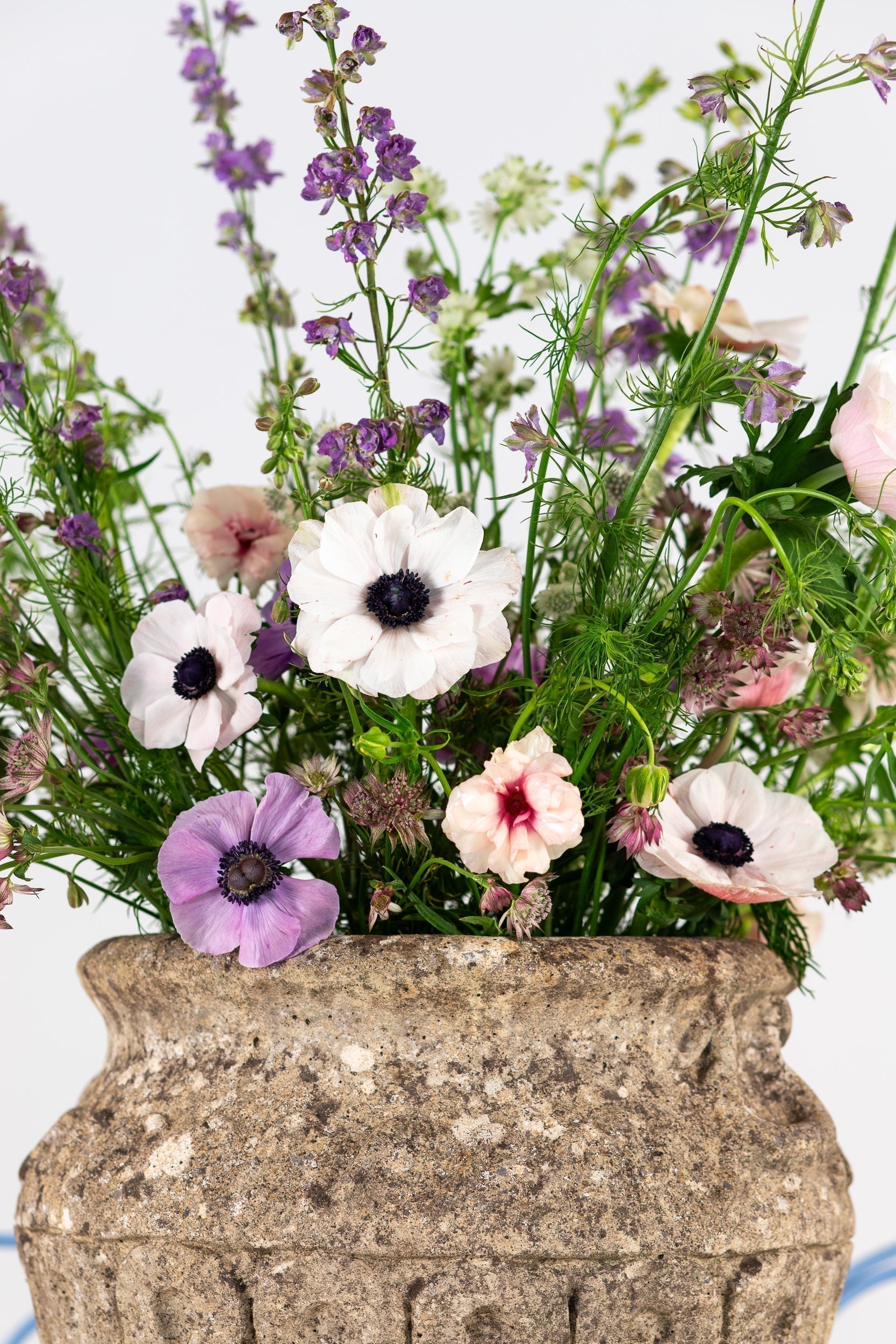 How a Humble Jar Became a Garden Icon: The Story of Antique Urns