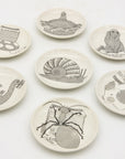 Set of Fornasetti Coasters - Snails