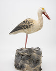 Garden Ornament cast stone Seagull on Wood Base