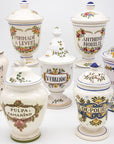 Set of Seven early 20th Century French Provence Apothecary Jars