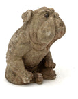English Bulldog Garden Statue, English Mid 20th C.