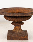 Pair of Neoclassical Cast Iron Urns, French early 20th C.