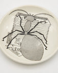 Set of Fornasetti Coasters - Snails