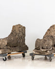 Circa 1920 English Pair of Large Recumbent Concrete Lions