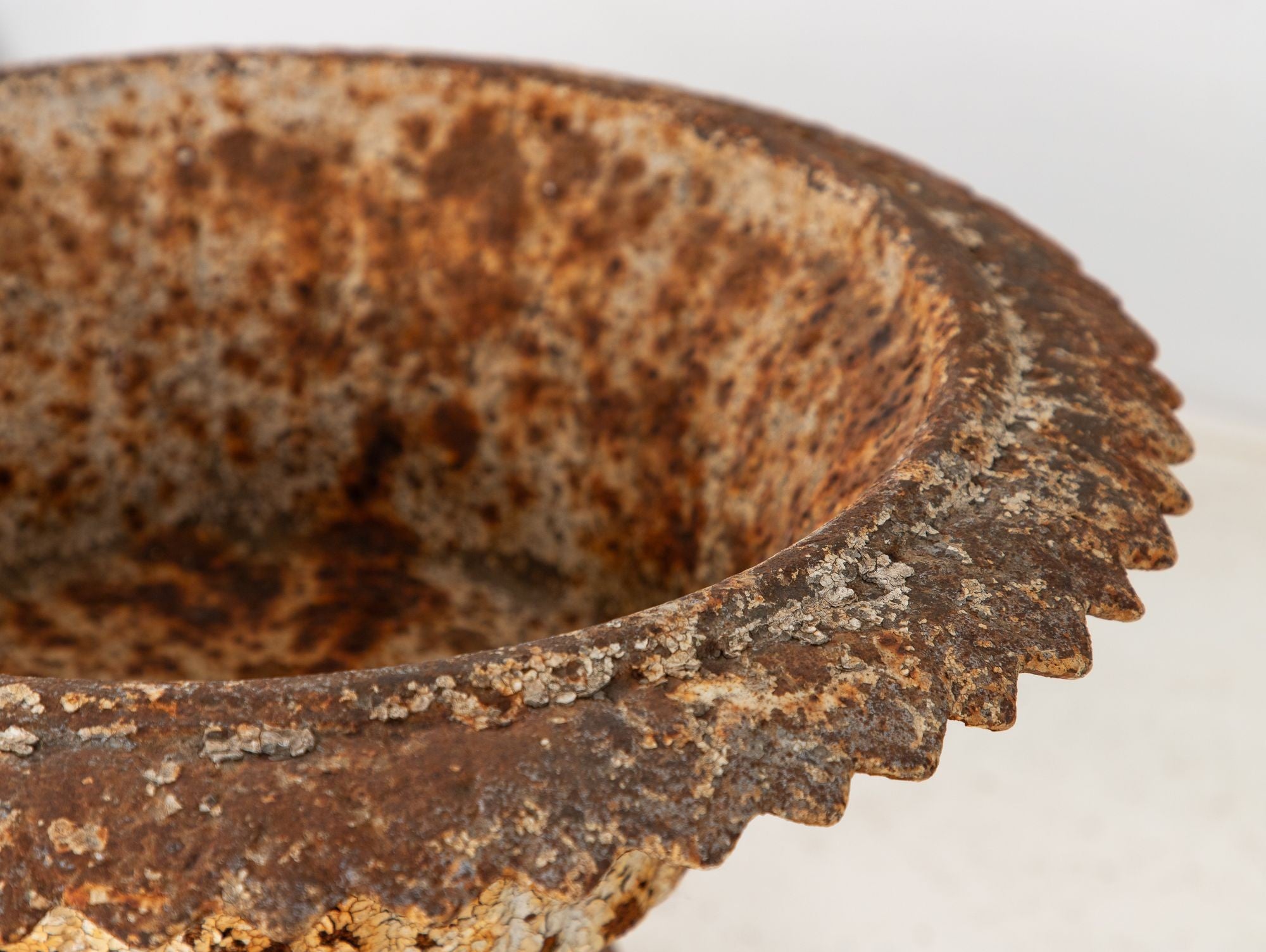 Antique Cast Iron Urn English Classically Styled Planter, Victorian 19th Century