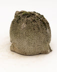 Reconstituted Stone Hedgehog Garden Ornament, 20th Century