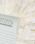 Selenite 4x6 Photoframe by Tozai Home, 2015