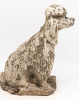White Painted Reconstituted Stone Dog Poodle Garden Ornament, France 20th Century