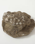 Reconstituted Stone Frog Garden Ornament, 20th Century