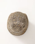 Reconstituted Stone Frog Garden Ornament, England 1960s