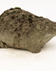 Reconstituted Stone Hedgehog Garden Ornament, 20th Century