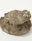 Reconstituted Stone Frog Garden Ornament, 20th Century