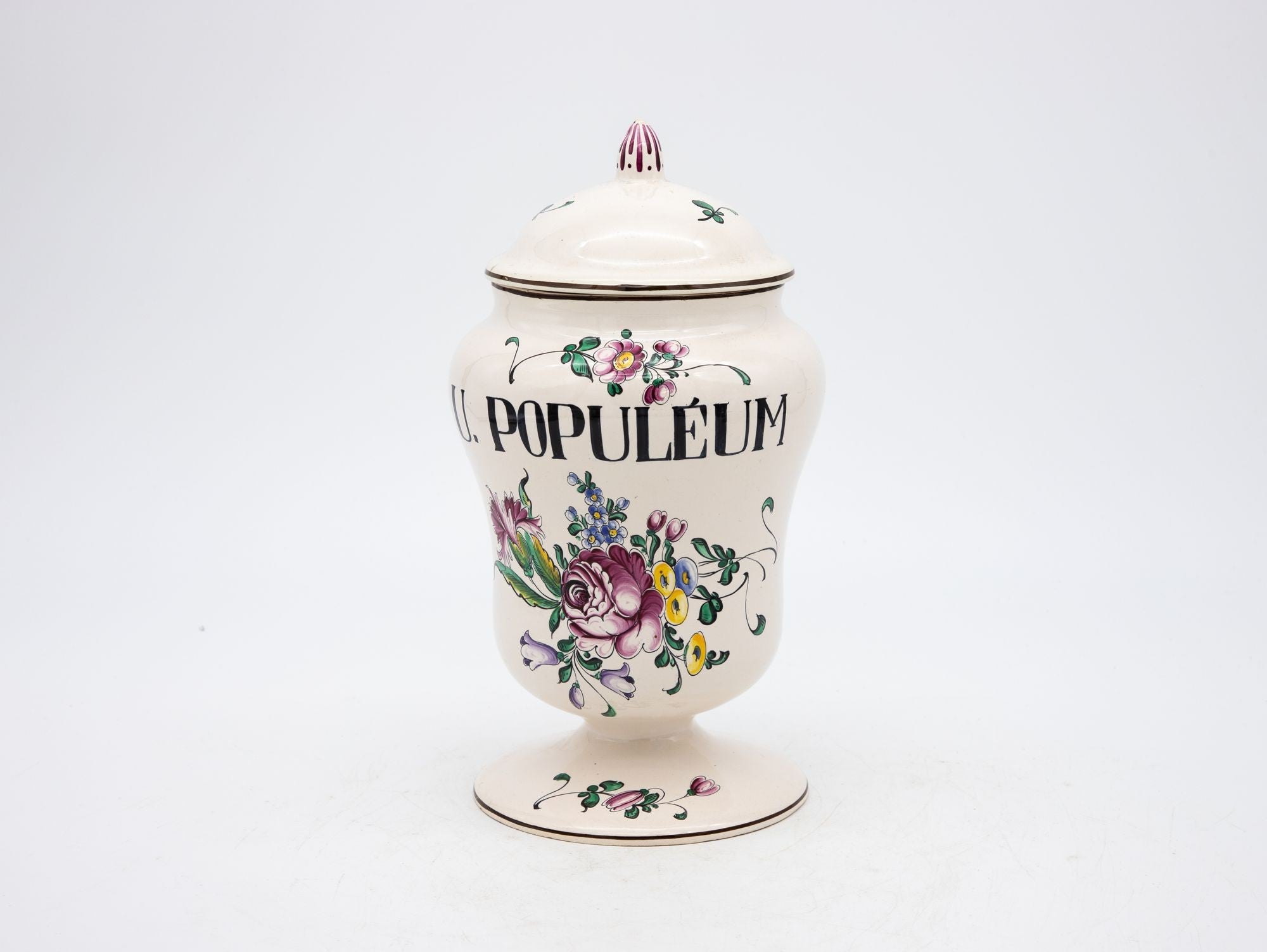 Set of Seven early 20th Century French Provence Apothecary Jars