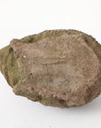 Reconstituted Stone Hedgehog Garden Ornament, 20th Century