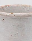 Antique Stoneware Urn, Italy Early 20th C.