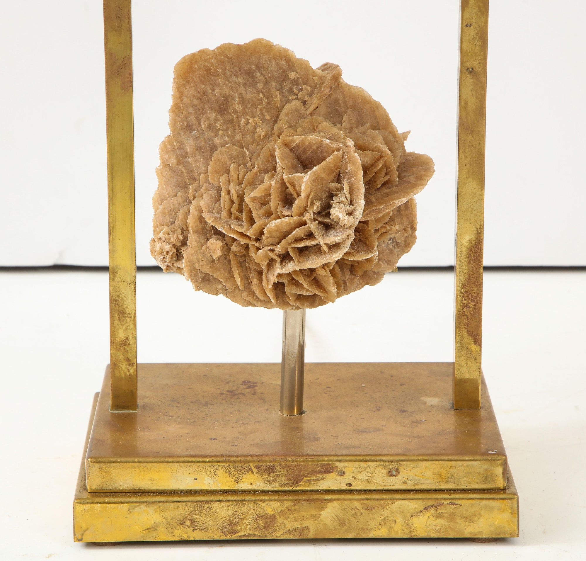 Modern Desert Rose Brass Lamp