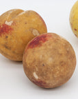 Unpolished Stone Fruit, Set of 7