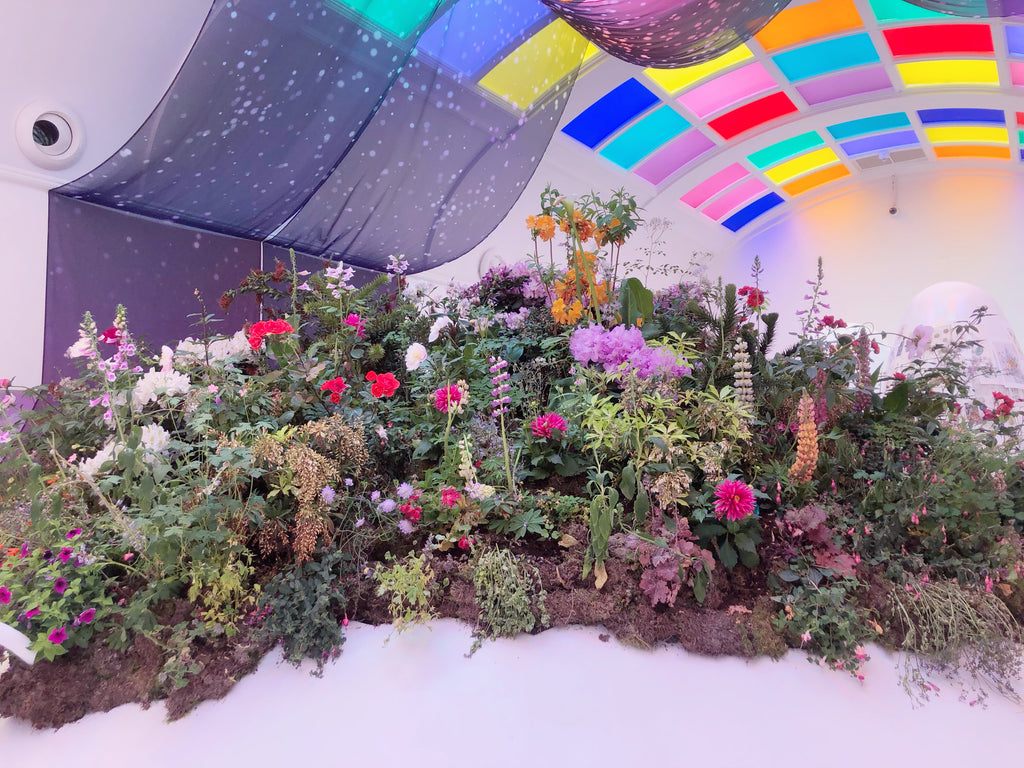 Spring 2019 UK Wrap Up