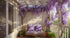 Pergolas: Framing the Garden for Centuries