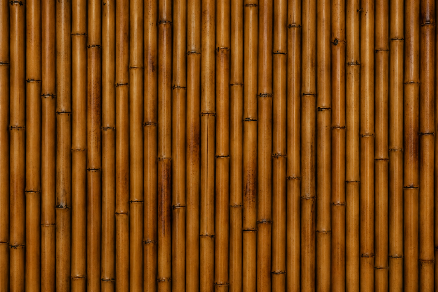THE BAMBOO COLLECTION