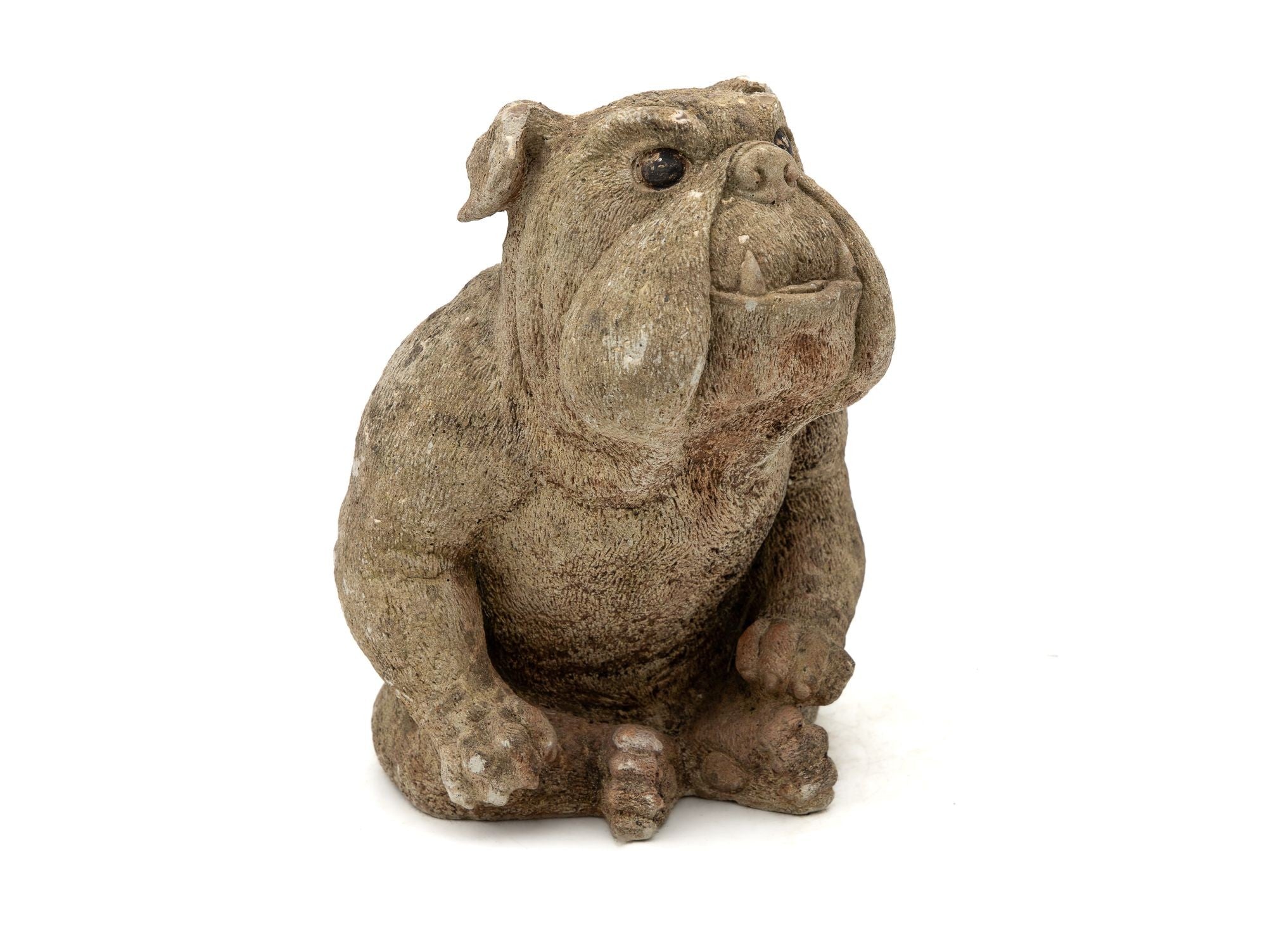 English Bulldog Garden Statue, English Mid 20th C.