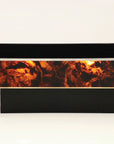 Tortoise Lucite Cocktail Table with Inerior Lights, France 1970s