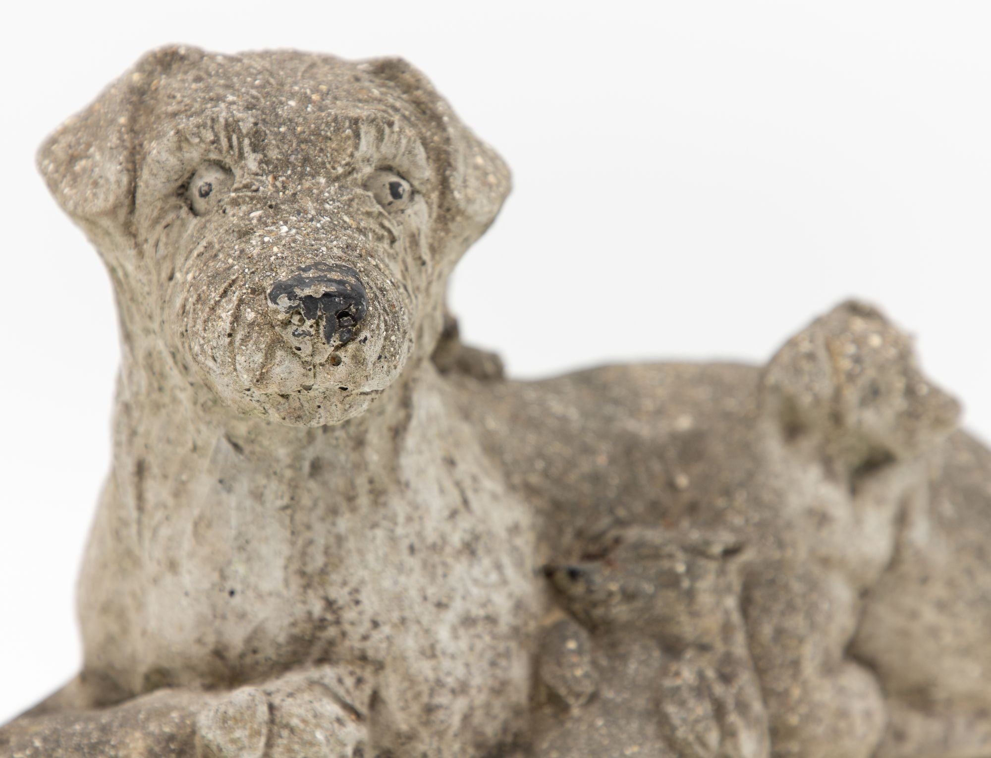 Vintage Reconstituted Stone Dog with Four Puppies, English Mid 20th C.