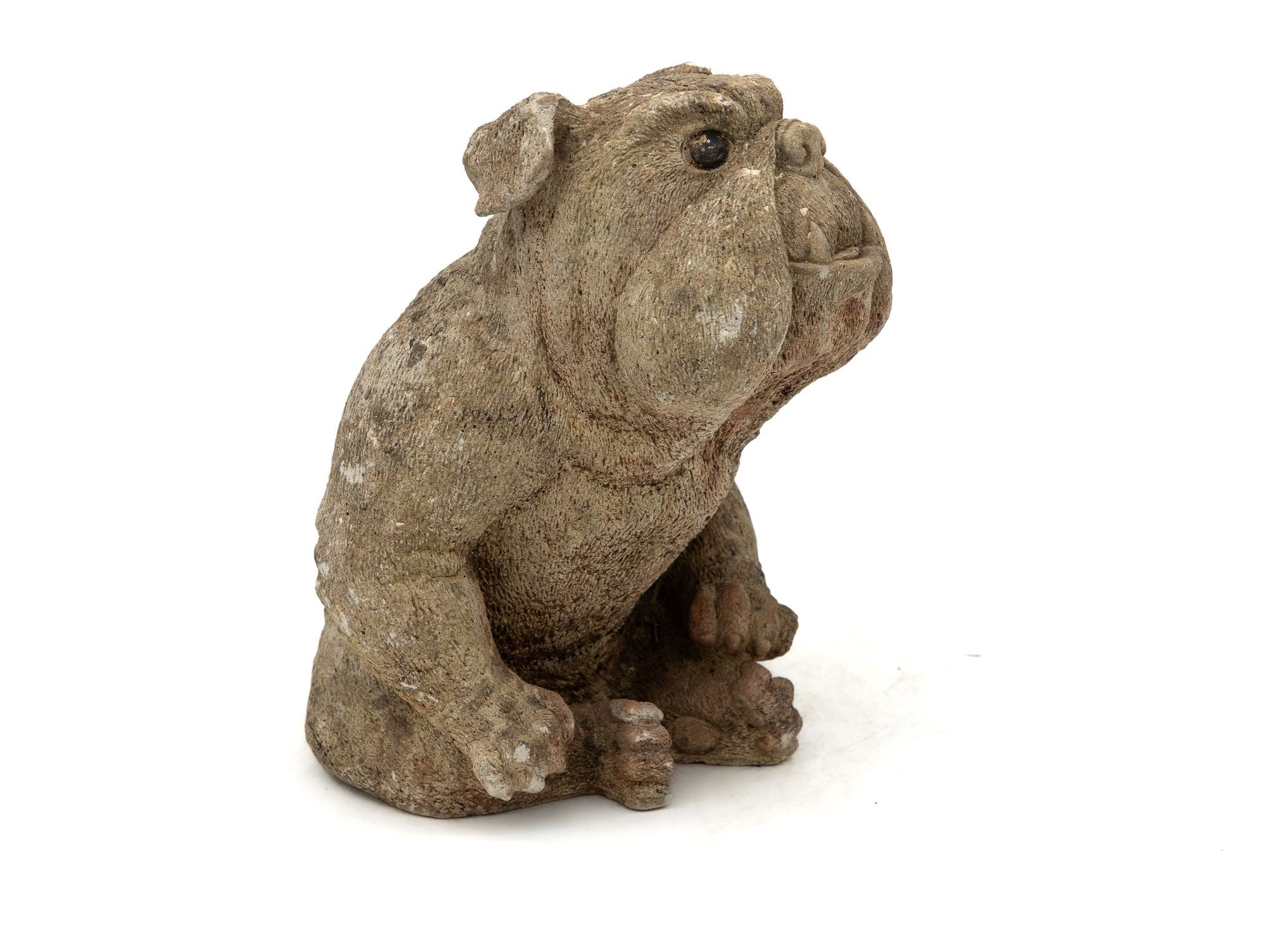 English Bulldog Garden Statue, English Mid 20th C.