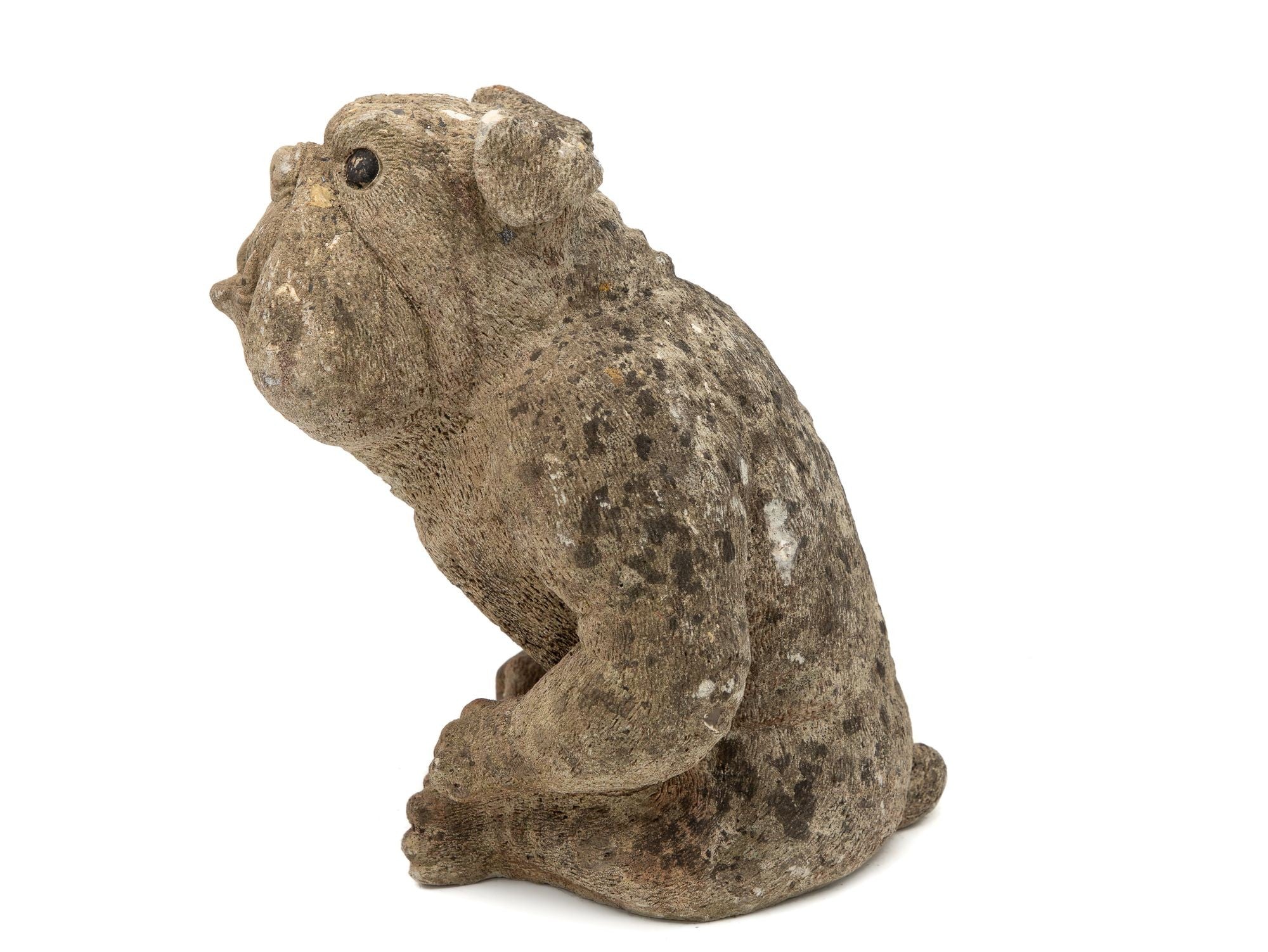 English Bulldog Garden Statue, English Mid 20th C.