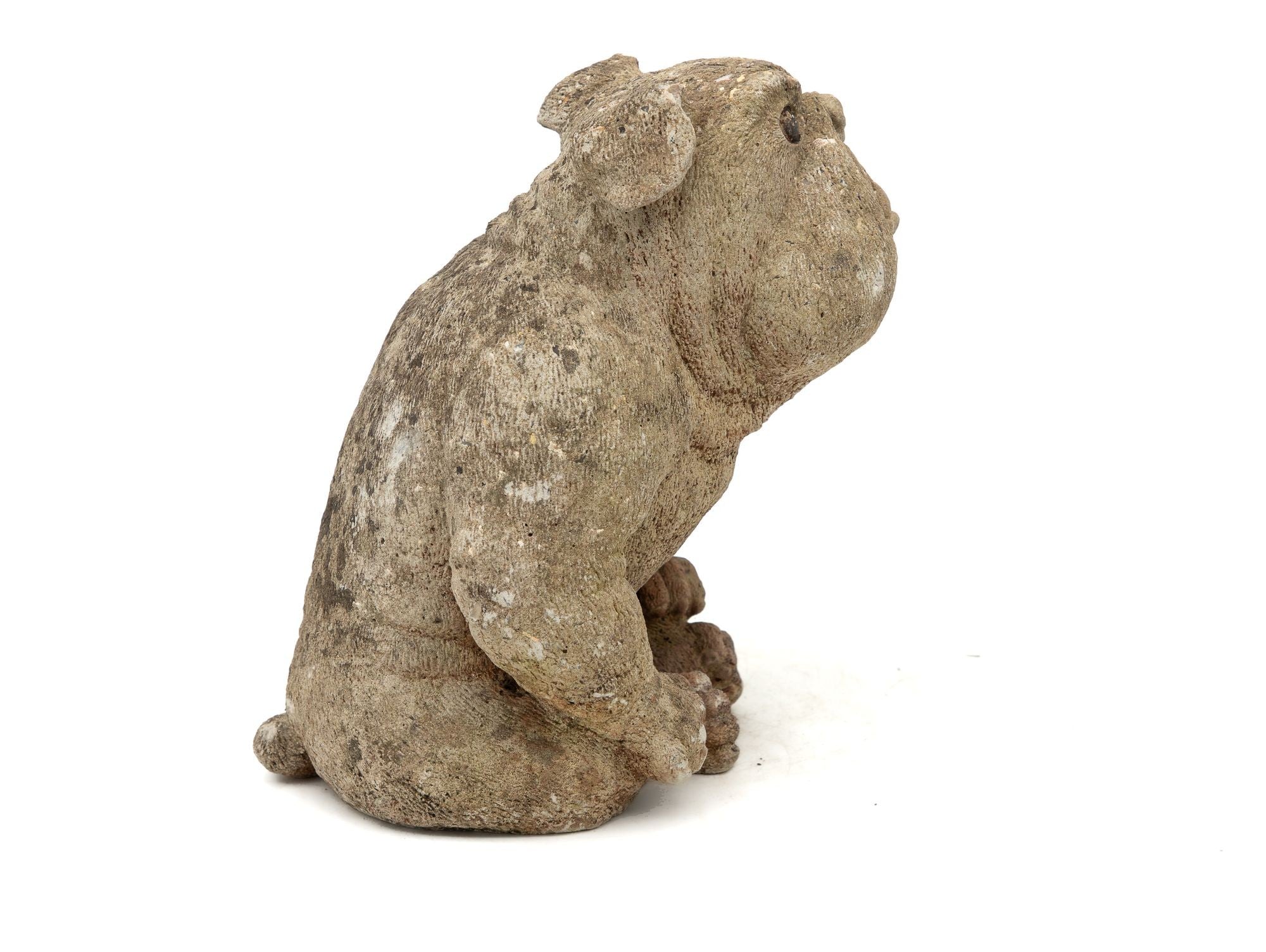 English Bulldog Garden Statue, English Mid 20th C.