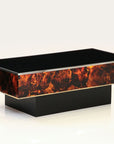 Tortoise Lucite Cocktail Table with Inerior Lights, France 1970s