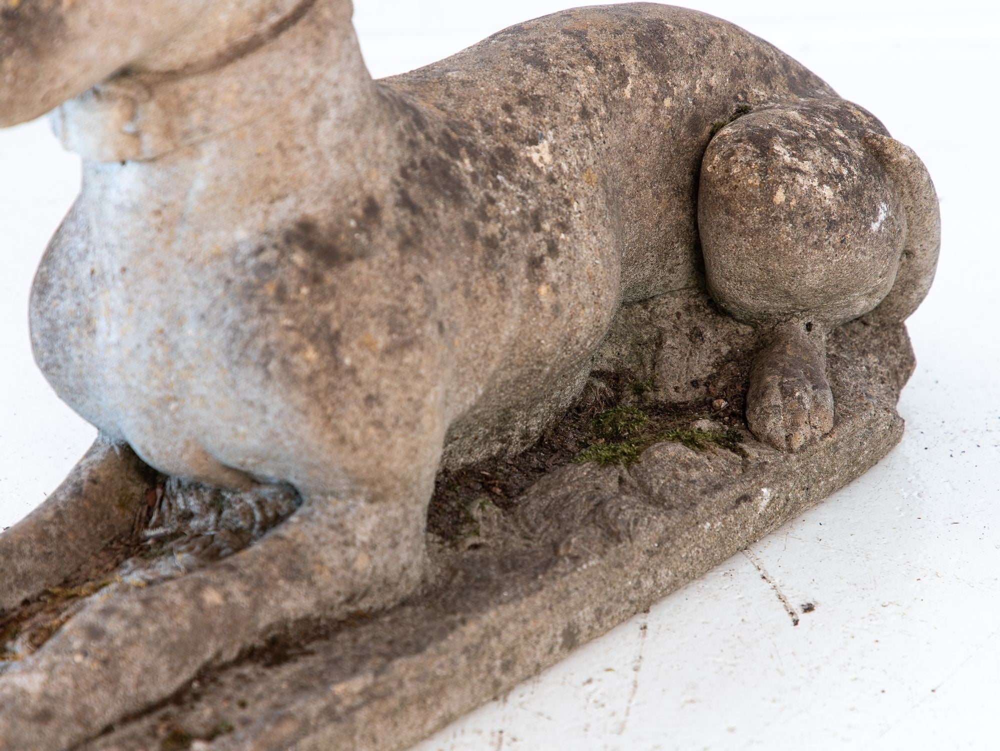 Mid 20th Century English Reconstituted Stone Whippet or Greyhound Dog