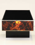 Tortoise Lucite Cocktail Table with Inerior Lights, France 1970s