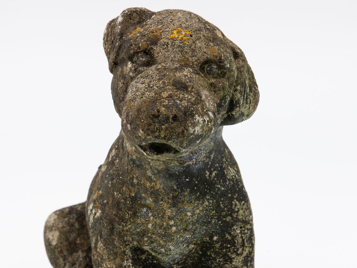 Reconsitituted Stone Puppy or Dog Garden Ornament, England Mid 20th C.