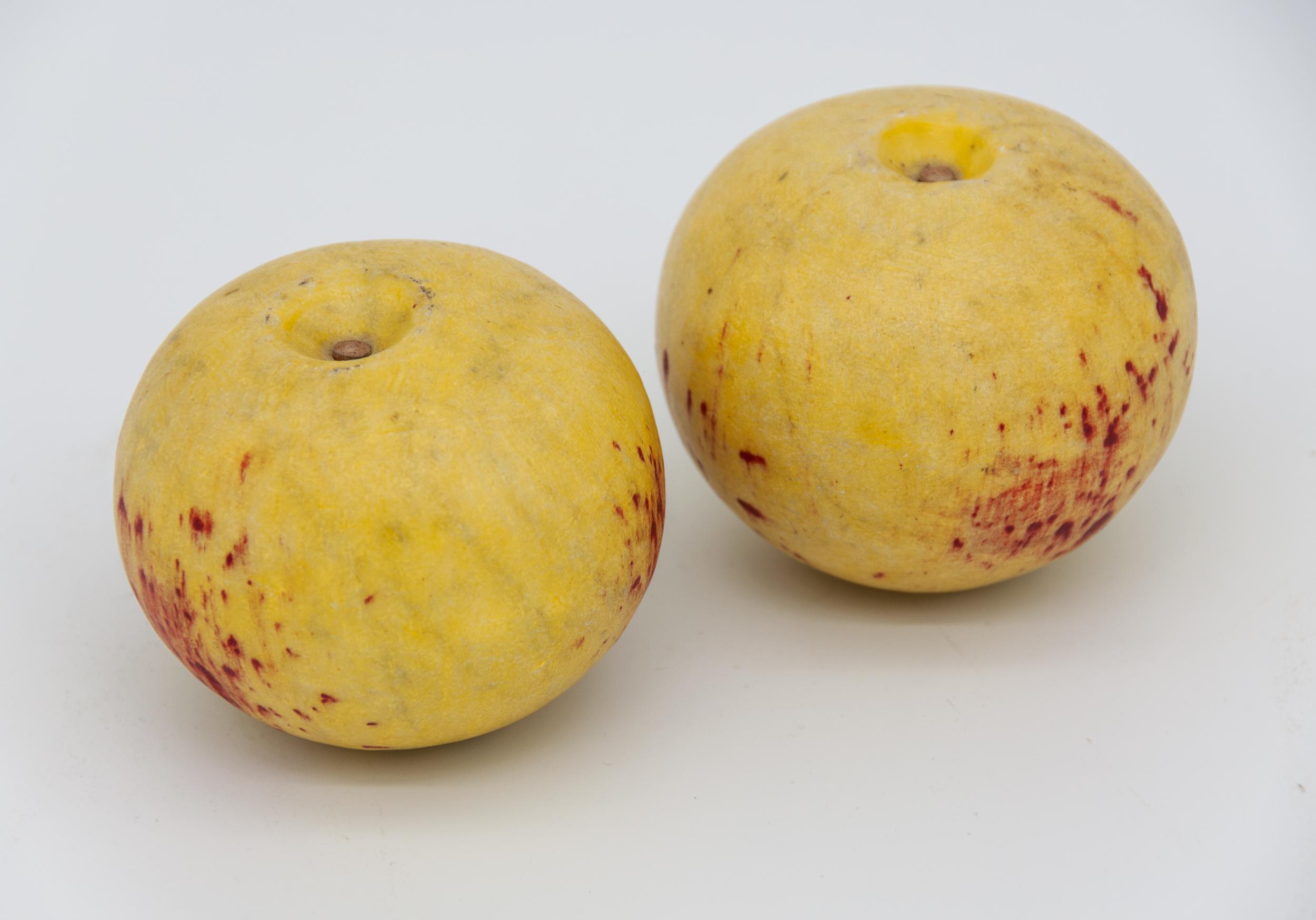 Unpolished Stone Fruit, Set of 7 – Modern Antiquarian