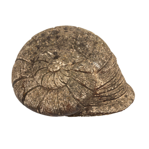 Vintage Cast Stone Snail Shell Garden Ornament